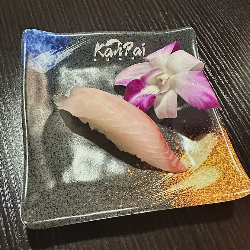Snapper